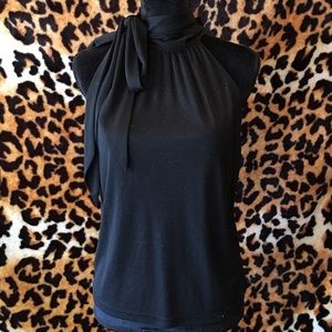 Sheer sleeveless high neck blouse